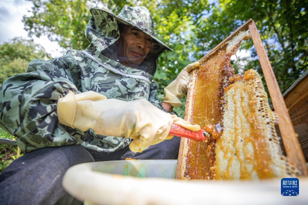 澳门 威斯尼斯龙虎